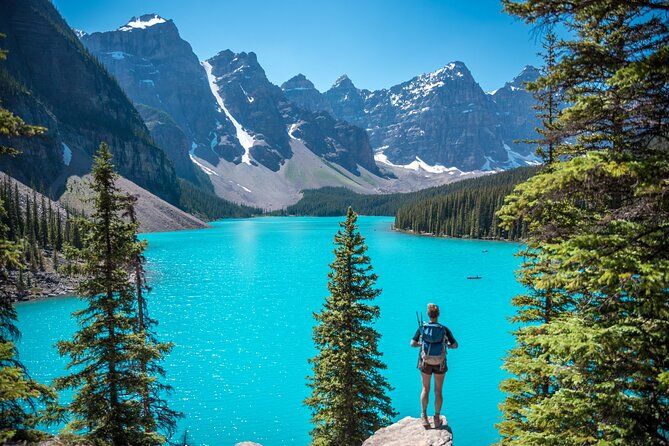 Yellowstone Park Private Customizable Tour from Jackson Hole