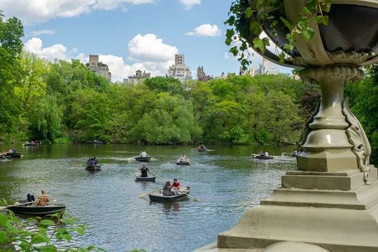 Roll and Stroll Tour