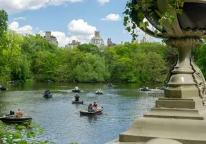 Roll and Stroll Tour