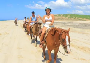 Horseback Riding Adventure y Tequila Tasting in Los Cabos