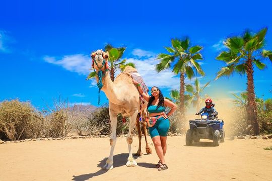 Los Cabos Camel Riding and ATV with Tequila Tasting