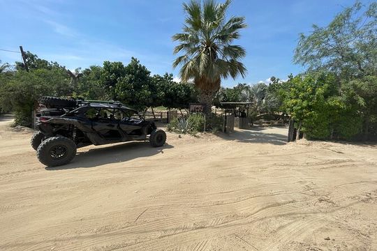 Private Cabo Buggy Rides and Can Am Adventures