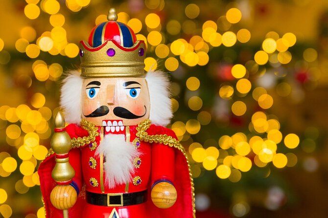 Dallas Christmas Lights Tour