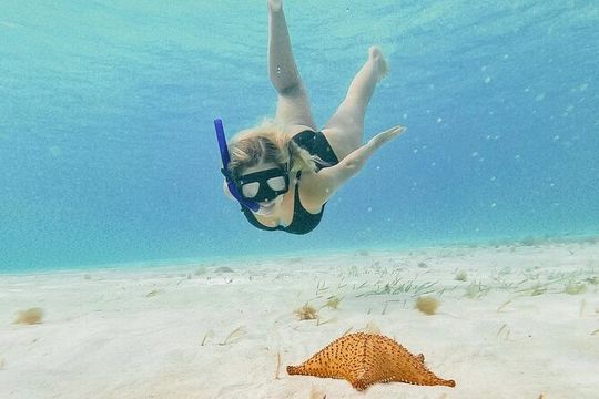 Full Day Guided Experience to El Cielo at Cozumel