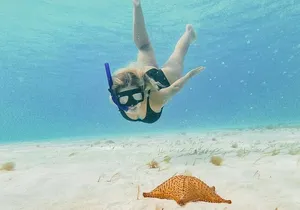 Full Day Guided Experience to El Cielo at Cozumel