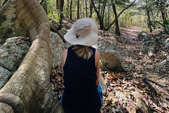 Punta Laguna Tour: Spider Monkey Reserve, cenote, canoe