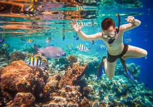 Land´s end discovery snorkeling experience