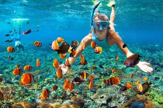 Cancun Speedboat and Snorkeling Adventure with Hotel Pickup