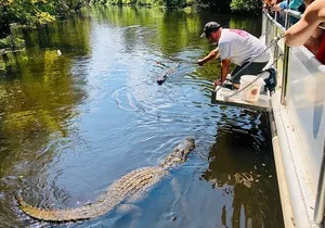 Swamp Boat Ride and Whitney Plantation Tour from New Orleans