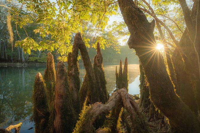 Private Panama City Beach Photo Excursion
