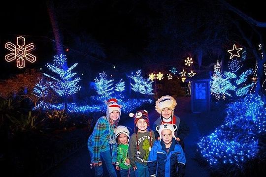 Christmas in the Wild at Tampa's Lowry Park Zoo