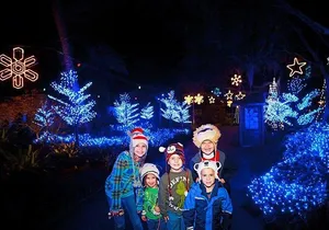 Christmas in the Wild at Tampa's Lowry Park Zoo