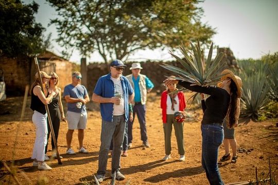 Ultimate tequila 2 day trip from Puerto Vallarta