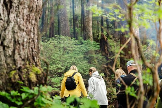 Wildlife Safari and Beach Campfire from Ketchikan