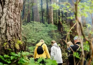 Wildlife Safari and Beach Campfire from Ketchikan