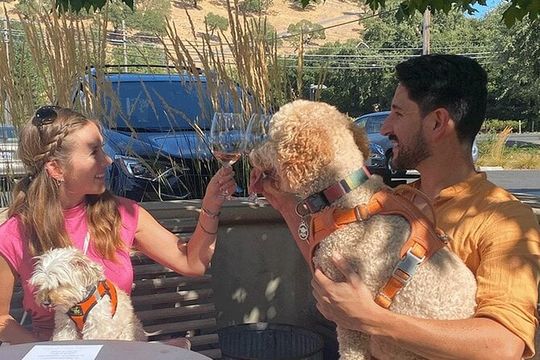 Dog Friendly Wine Tour in Private Luxury SUV