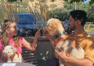 Dog Friendly Wine Tour in Private Luxury SUV