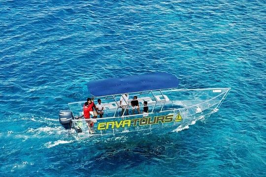 Cabo Clearboat to the Arch Tour Marine Life and Iconic Views