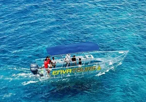 Cabo Clearboat to the Arch Tour Marine Life and Iconic Views