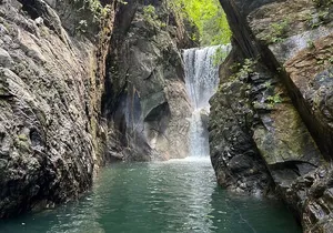 Jungle Cascade Adventure