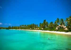Paradise Island Isla Contoy and Isla Mujeres Tour