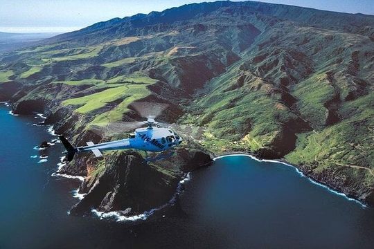 Birds Eye View 30 Minute Maui Helicopter Tour