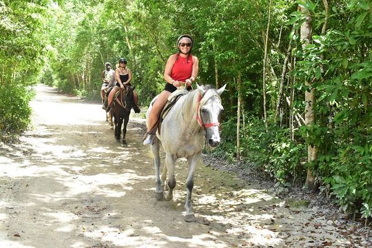 4 in 1 Jungle Tour Zipline Horseback ATV and Cenote