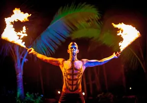 Rhythms of the Night