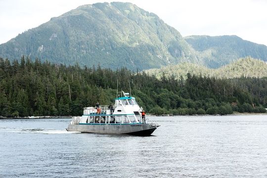 Ketchikan Waterfront & Wildlife Cruise