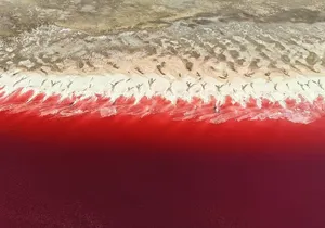 Pink Lake & Giant Salt Crystals – Great Salt Lake Adventure