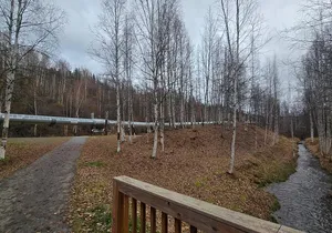 Heart of Fairbanks Tour Culture, Food, History and Fun