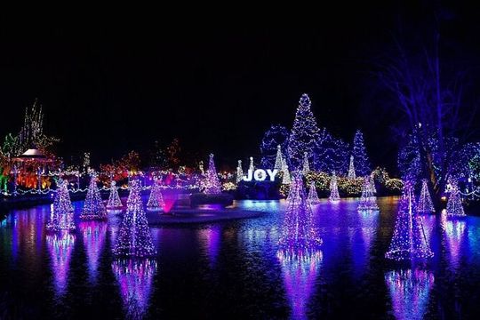Vancouver and VanDusen Holiday Lights Tour