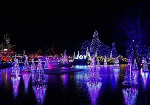 Vancouver and VanDusen Holiday Lights Tour