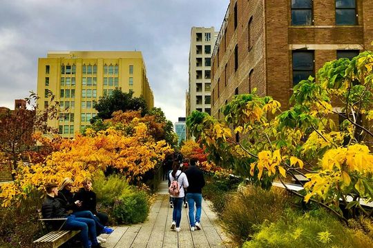 Explore the High Line: Small Group Walking Tour