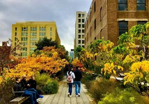 Explore the High Line: Small Group Walking Tour