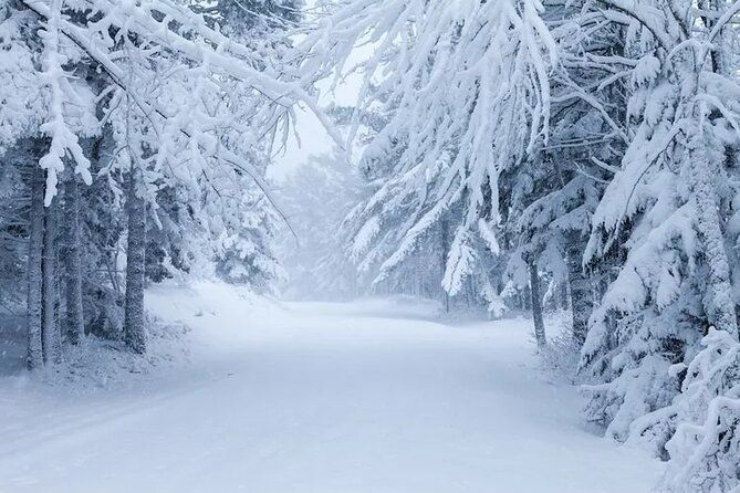 Acadia National Park Winter Wonderland Private Driving Tour