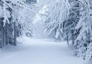 Acadia National Park Winter Wonderland Private Driving Tour