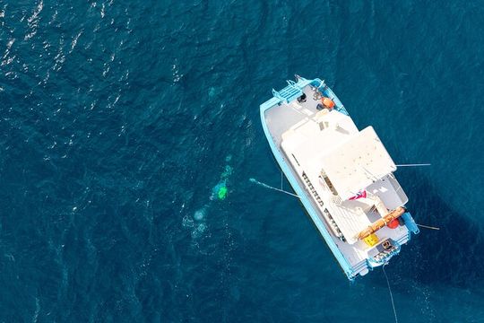 2 Tank Natural Reef & Wreck Dive Tour off Wai'anae