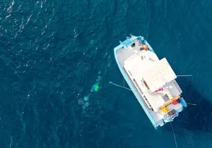 2 Tank Natural Reef & Wreck Dive Tour off Wai'anae