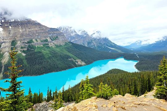 Banff and Icefield Parkway Private Tour with Moraine Lake