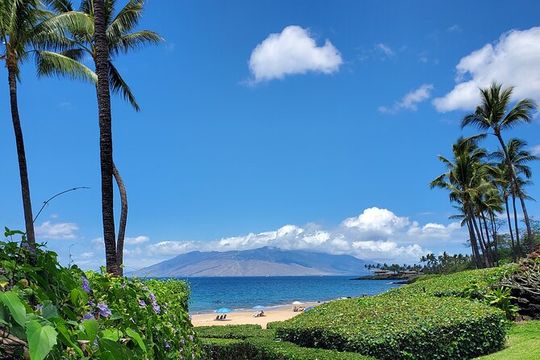 Maui Mini Retreat