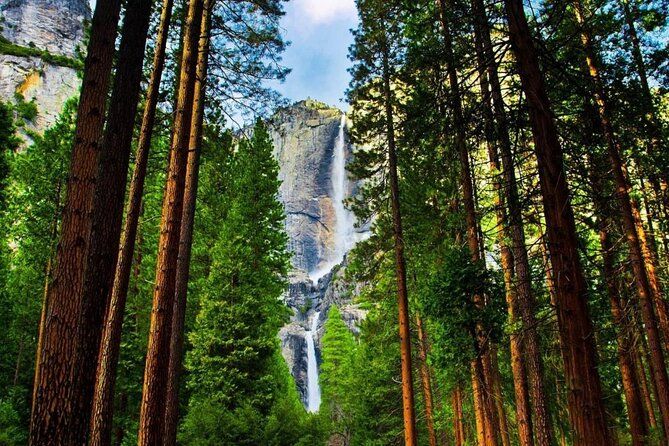 Luxury Coach Tour of Yosemite National Park