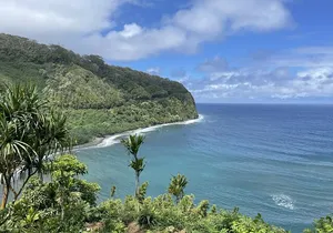 Full Day Guided Tour in Hana