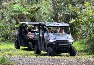 Deluxe Coffee Culture Tour from Berry to Brew in 60 Minutes