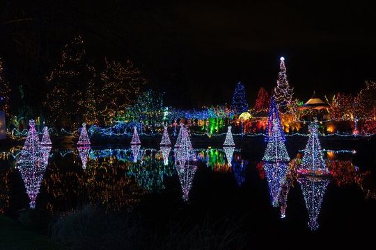 Vancouver and Van Dusen Garden Holiday Lights Tour