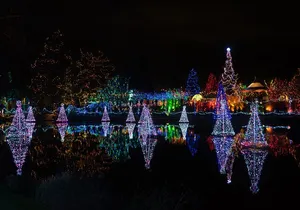 Vancouver and Van Dusen Garden Holiday Lights Tour