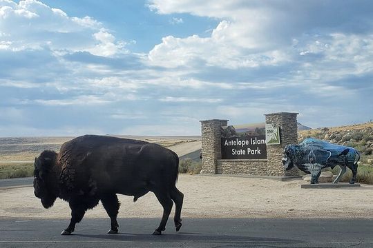 Private Antelope Island State Park Tour