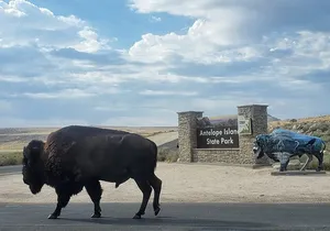 Private Antelope Island State Park Tour