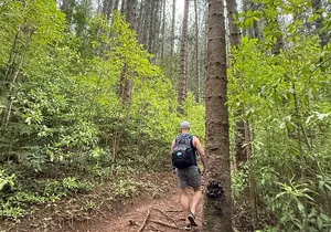 Beginner Forest Hike to a Refreshing Hawaiian Stream