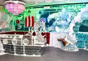 Minus5 Ice Bar Admission Ticket at The LINQ Las Vegas